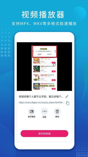 VideoParse安卓版解析界面截图