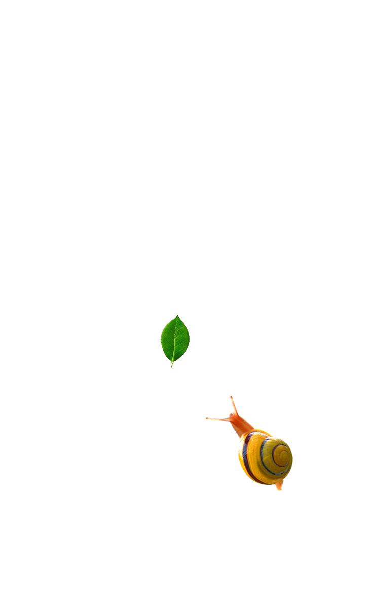 Snail聚合浏览器 安卓版 界面截图