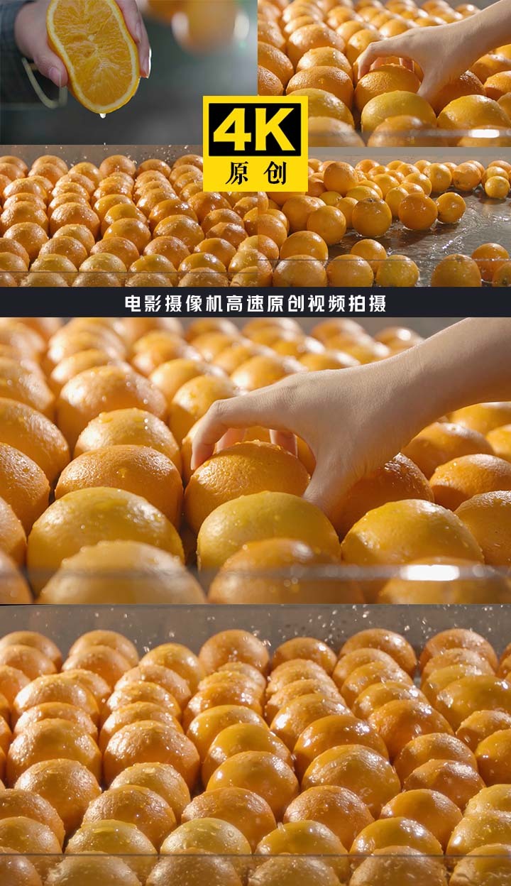 发财橙子 手感 掂重量 捏弹性 闻香味 挑选实操 超市选果