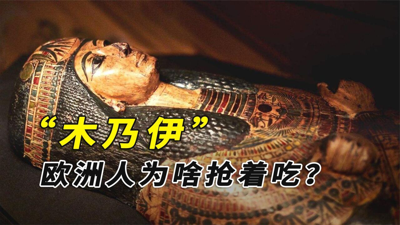 罗马人与木乃伊终极史诗之战安卓游戏下载 安装包权限检查与版本适配说明图