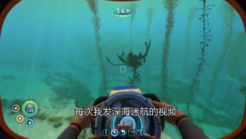 深海鱼群游戏下载安装手机版(Shoal of fish)安卓苹果安装步骤对比配图
