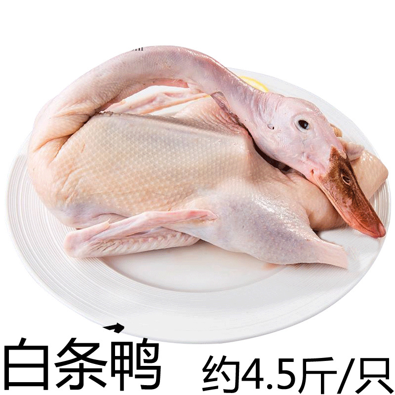 实惠鸭 挑选 菜市场 冷冻鸭 冰鲜鸭 对比实拍图