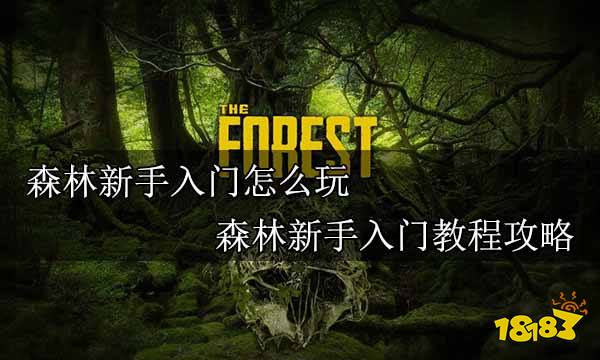 再一次森林 新手入门路线与节奏技巧配图