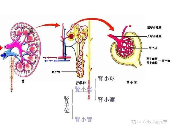 万能免费智能计算器 安卓版 科学计算界面截图