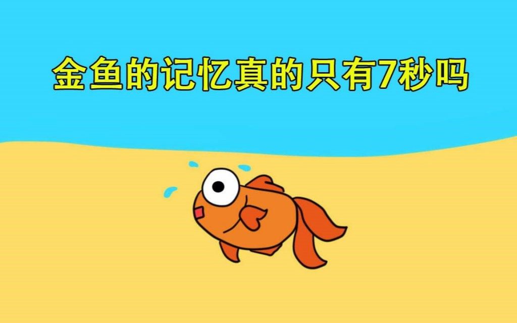 鱼的记忆安卓手机版下载 手机安装权限设置界面