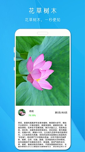 行色识物 安卓版 拍照识别界面