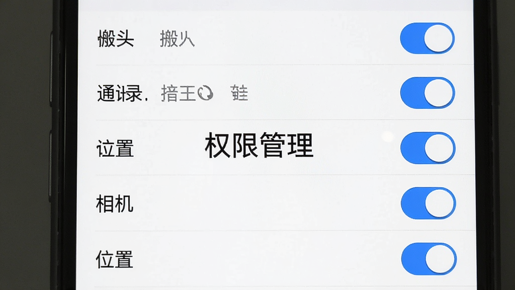 手机换机搬家快速应用权限设置界面截图风格,显示存储、通讯录、相机、位置等权限开关列表,每个开关旁有文字说明,界面为白色背景配蓝色开关按钮,画面中央有“权限管理”标题,高清画质,干净整洁