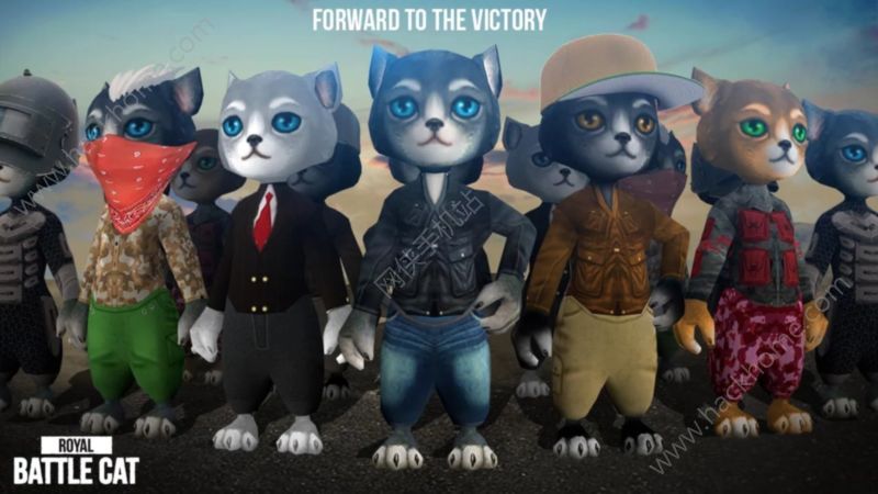 �ʼ�ս��èRoyal Battle Cat���İ�׿��