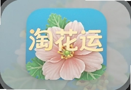 淘花运官方版app下载安装最新版入口
