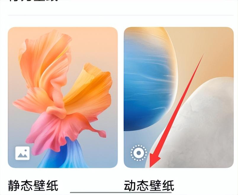LiquidVivo 安卓版 动态壁纸 设置界面