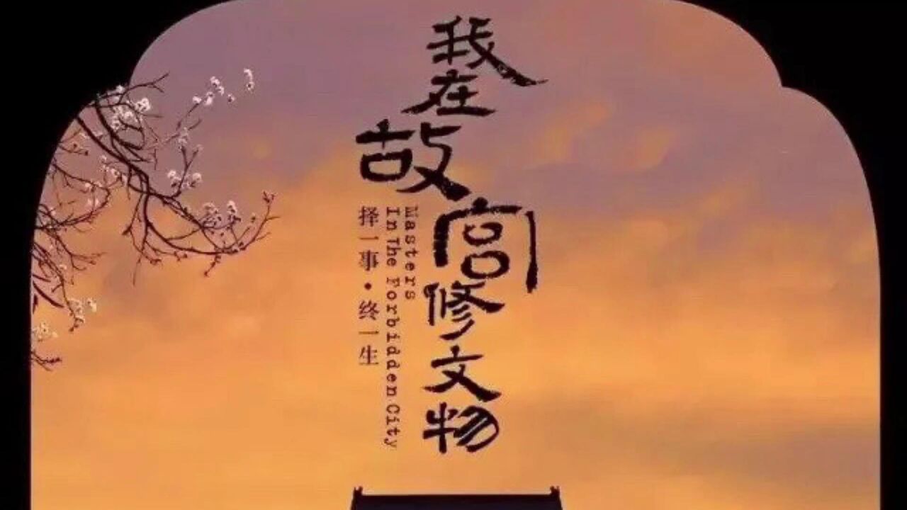 我在故宫修文物bilibili哔哩哔哩下载 手机B站缓存清晰度选择与空间管理