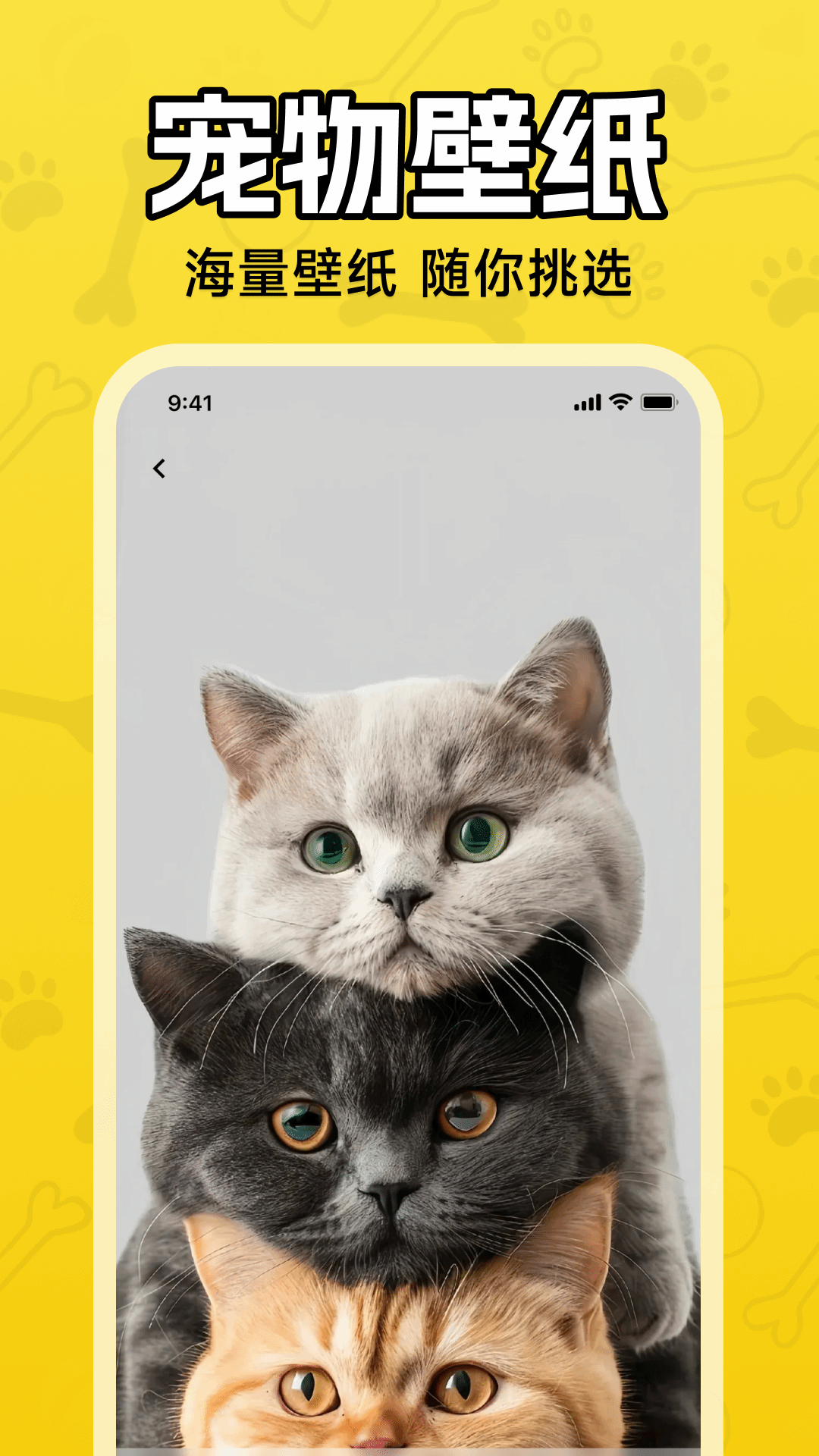 人猫人狗翻译器 实测宠物叫声翻译软件界面 猫狗对话场景配图