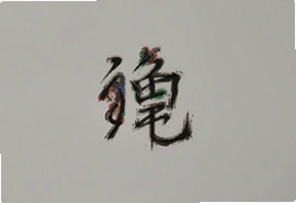 睐回官方入口及最新使用指南