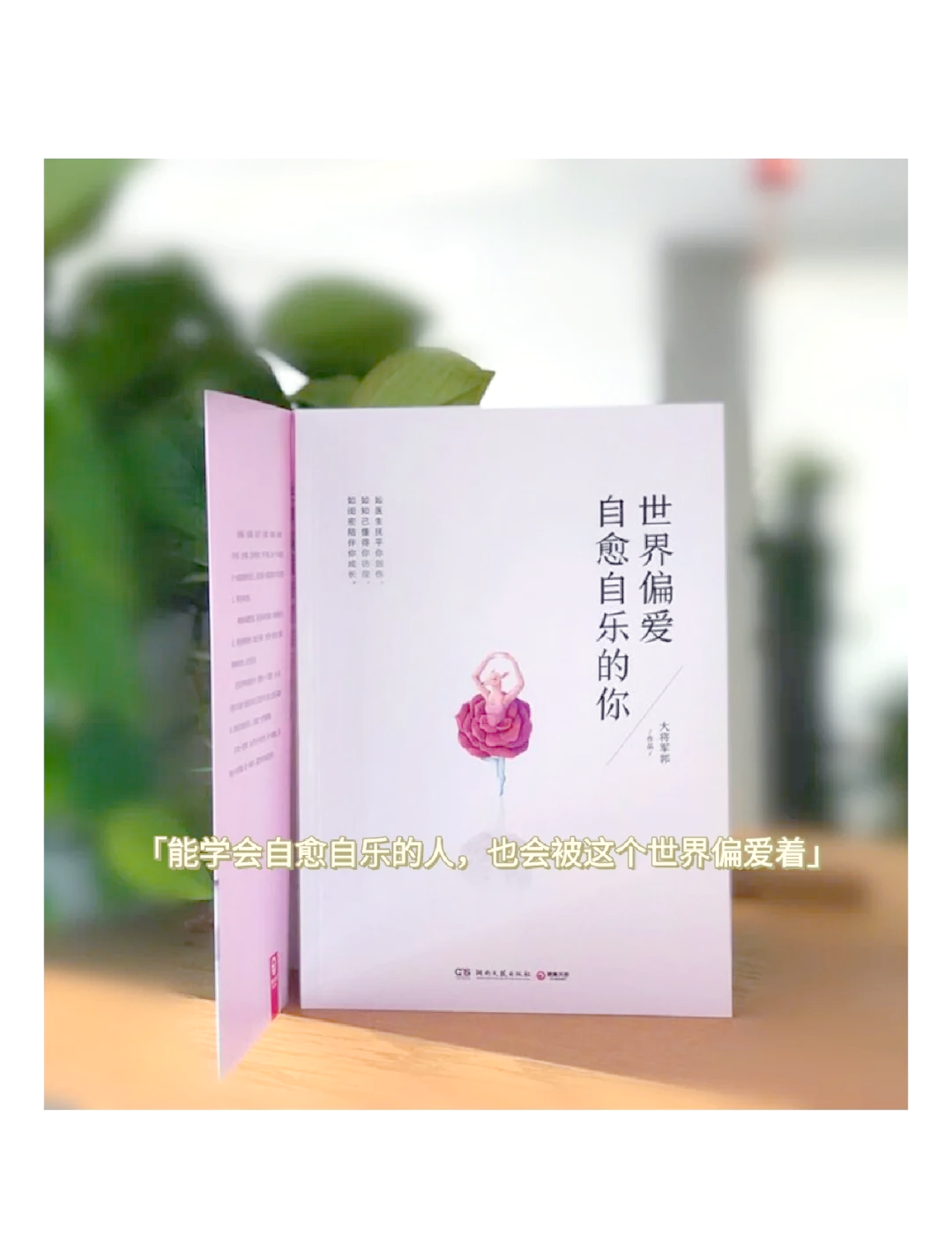 拾心之旅找回内心平静的治愈系生活指南 封面配图