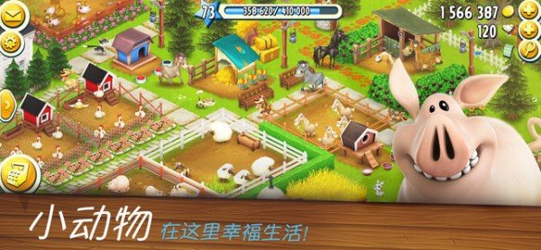 ��ͨũ��(Hay Day)1.75.1 ��Ӫ����