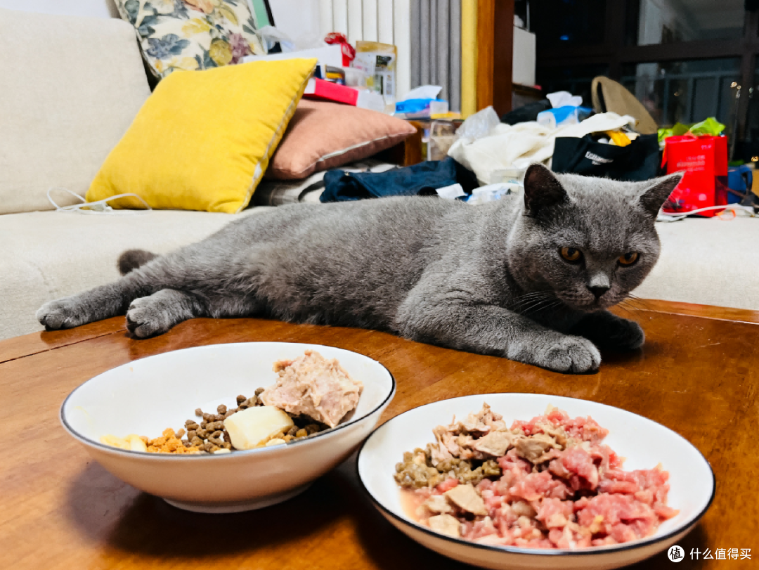 猫乐饭自制猫饭教程新手入门 猫咪健康猫饭制作全过程配图