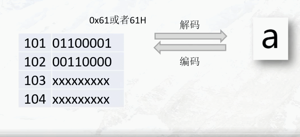 编码工具 安卓版 编码转换界面