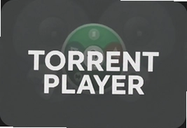 Torrent Player手机播放器推荐