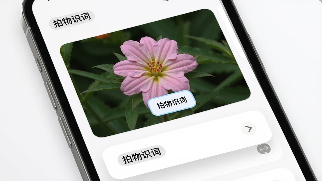 一张展示拍物识词识别结果页面的手机截图风格图片,画面中手机屏幕显示一朵花的照片与对应的名称标签,布局为上方图片下方文字卡片,风格简约现代,细节包含圆角卡片与柔和阴影,画质高清干净,画面中可出现软件名称“拍物识词”字样