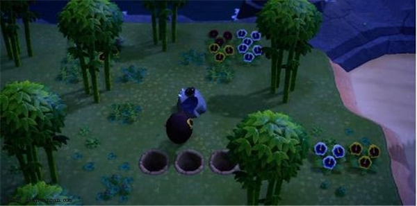 动物森友会手机版下载安装(Pocket Camp)v6.0.1 最新版 动物森友会手机版下载安装(Pocket Camp)v6.0.1 最新版