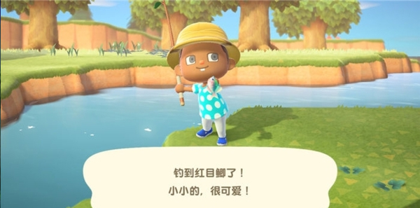 动物森友会手机版下载安装(Pocket Camp)v6.0.1 最新版 动物森友会手机版下载安装(Pocket Camp)v6.0.1 最新版