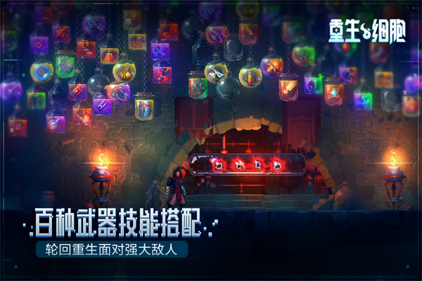 死亡细胞手游官方正版下载安装(Dead Cells)v3.5.9 最新版 死亡细胞手游官方正版下载安装(Dead Cells)v3.5.9 最新版
