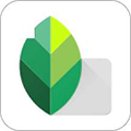 Snapseed软件下载安装手机版v4.0.7.936783290 安卓版