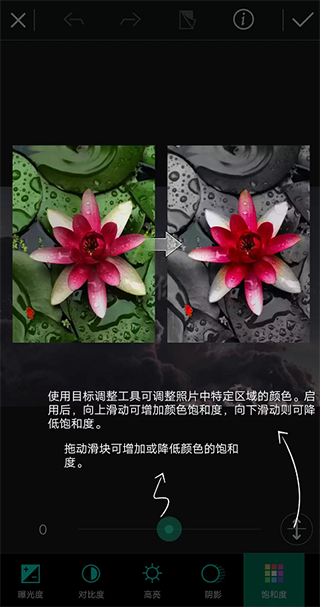 ��Ƭ��ʦ�������ذ�װ������°汾v20.14.0 ��׿��