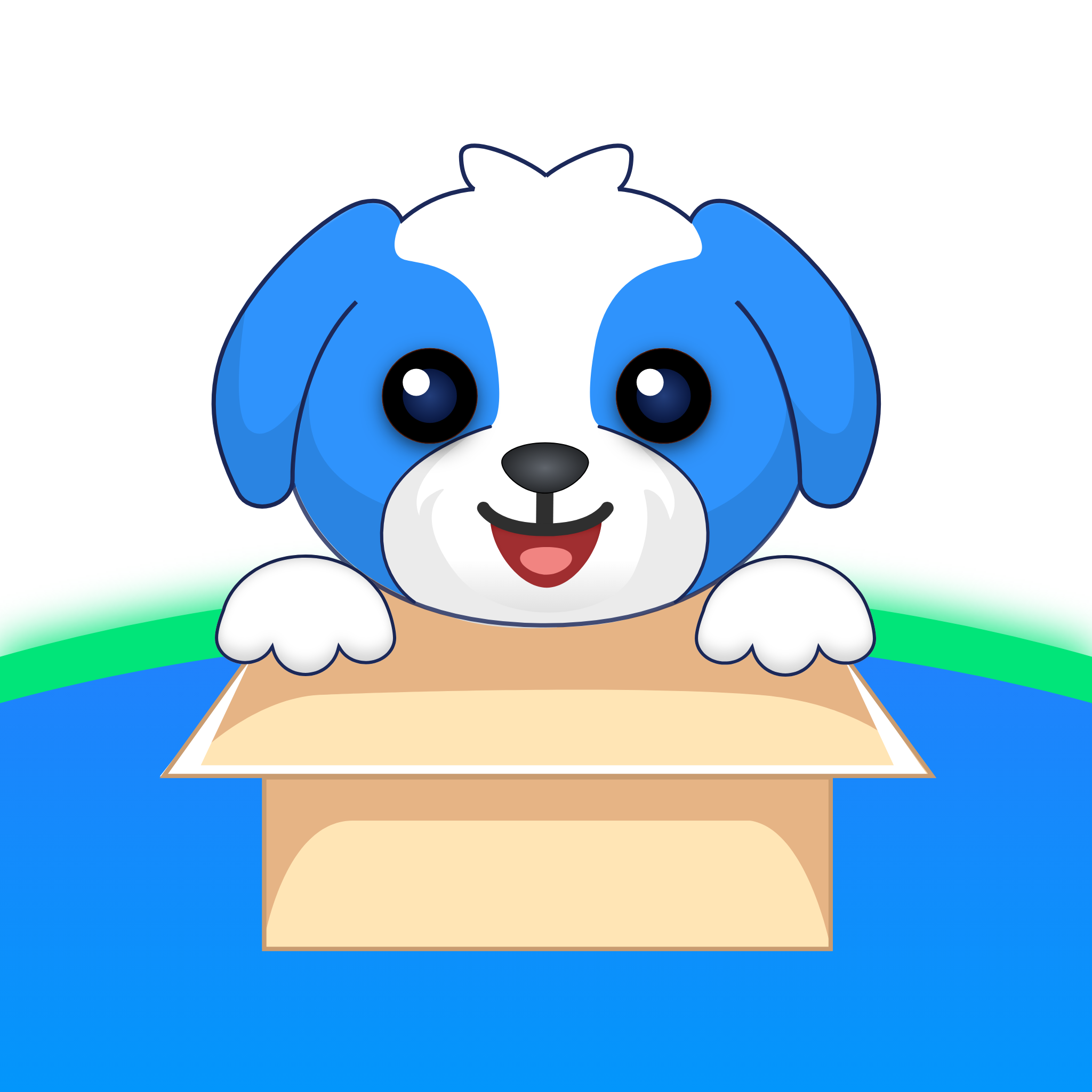 �ʹﹷ�ٷ����ذ�װ����