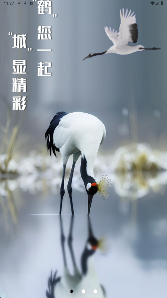 鹤城在线官方下载安装手机版v1.0.0.51100702 最新版 鹤城在线官方下载安装手机版v1.0.0.51100702 最新版
