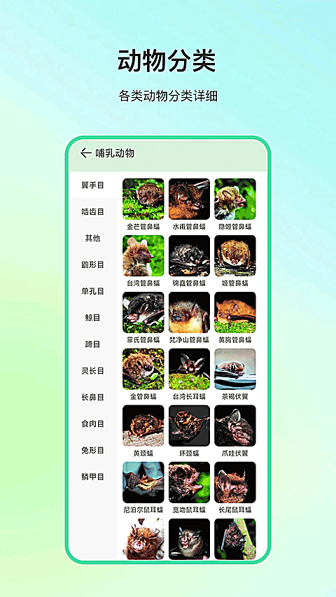 动物百科app下载安装最新版本v34.1.8 安卓版