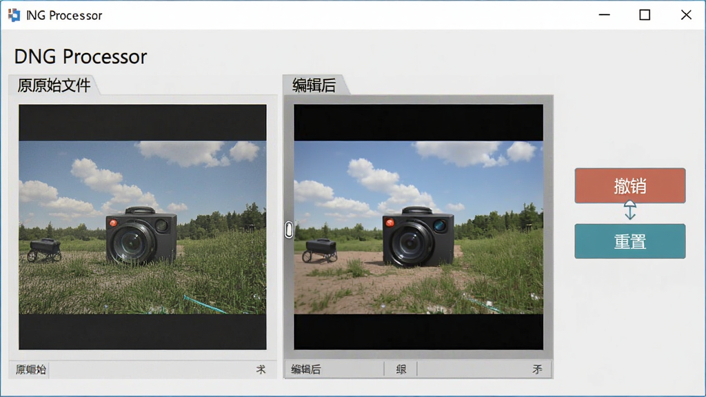 一张展示无损编辑流程的示意图,主体为“DNG Processor”软件界面,显示原始文件与编辑后文件的对比,旁边有“撤销”和“重置”按钮。布局清晰,排版简洁,风格专业,细节完整,画质干净。