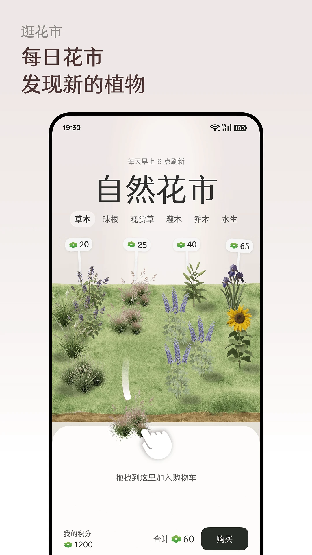 芳圃Floravale1.0.9 绿色种植养成