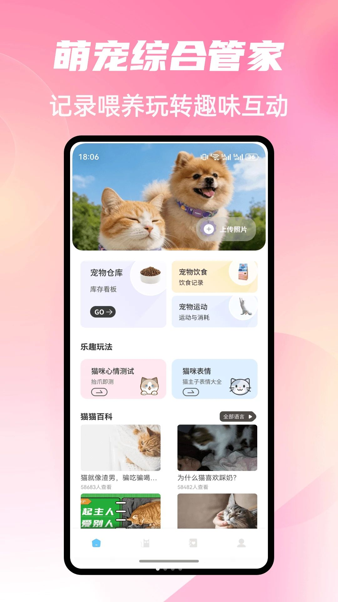 Cat Stylist1.0.4 è��װ�繤��