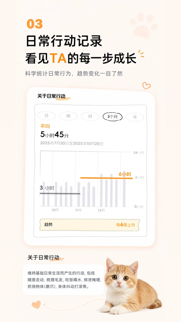 �������1.2.2 �����������