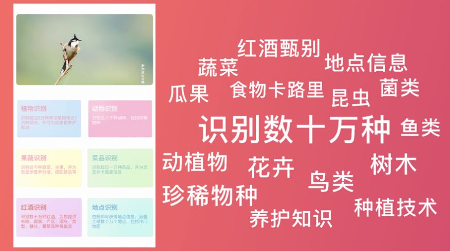 ��ǿʶ��app��׿������
