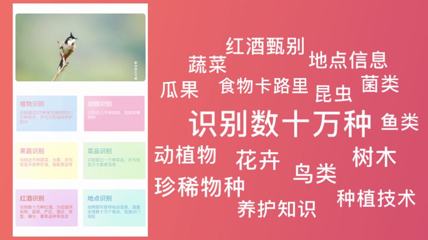 ��ǿʶ��app��׿������