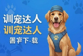 训宠达人最新版官方版下载安卓免费安装教程