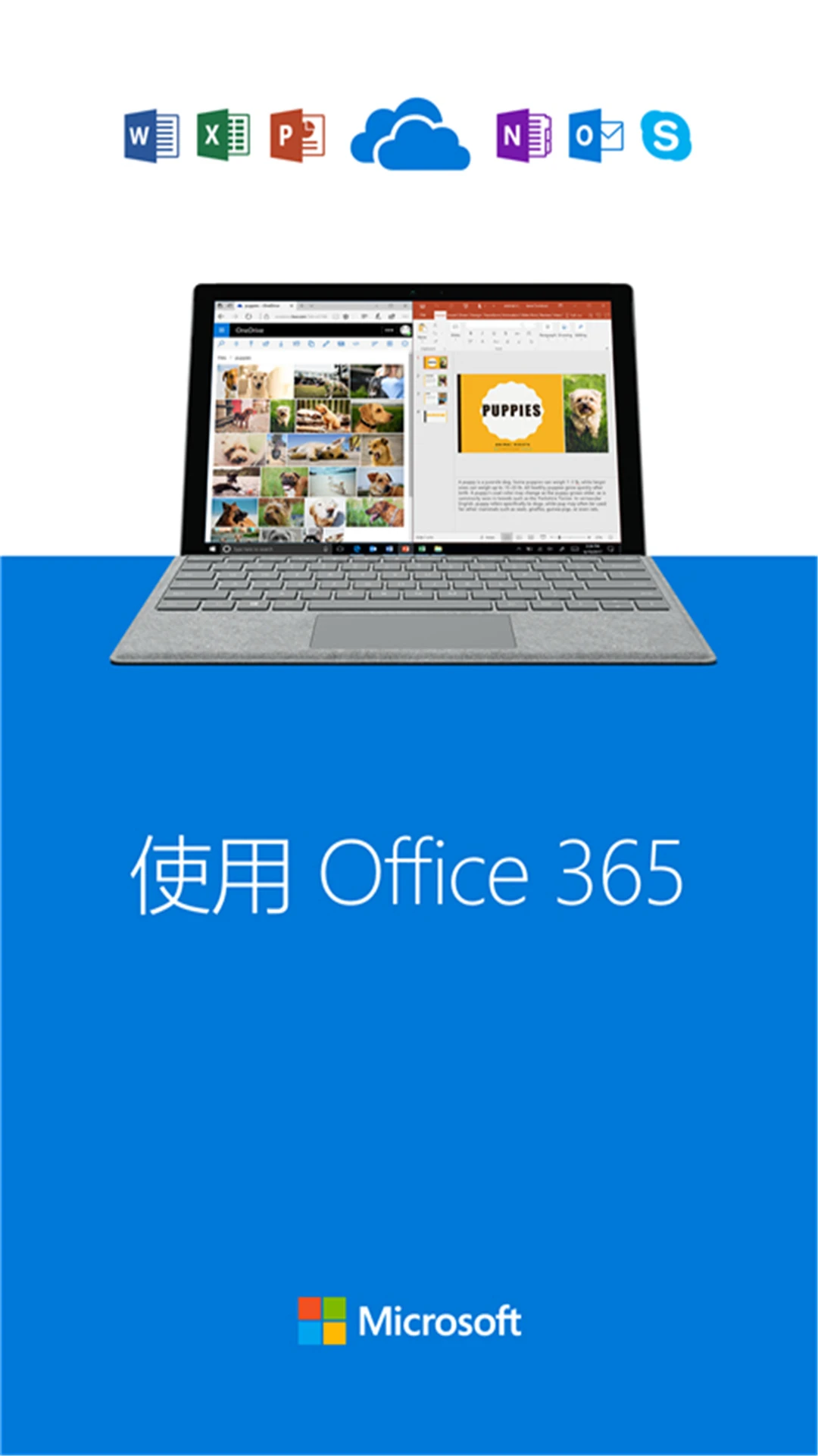 SkyDrive2026 云端存储同步工具 SkyDrive2026 云端存储同步工具