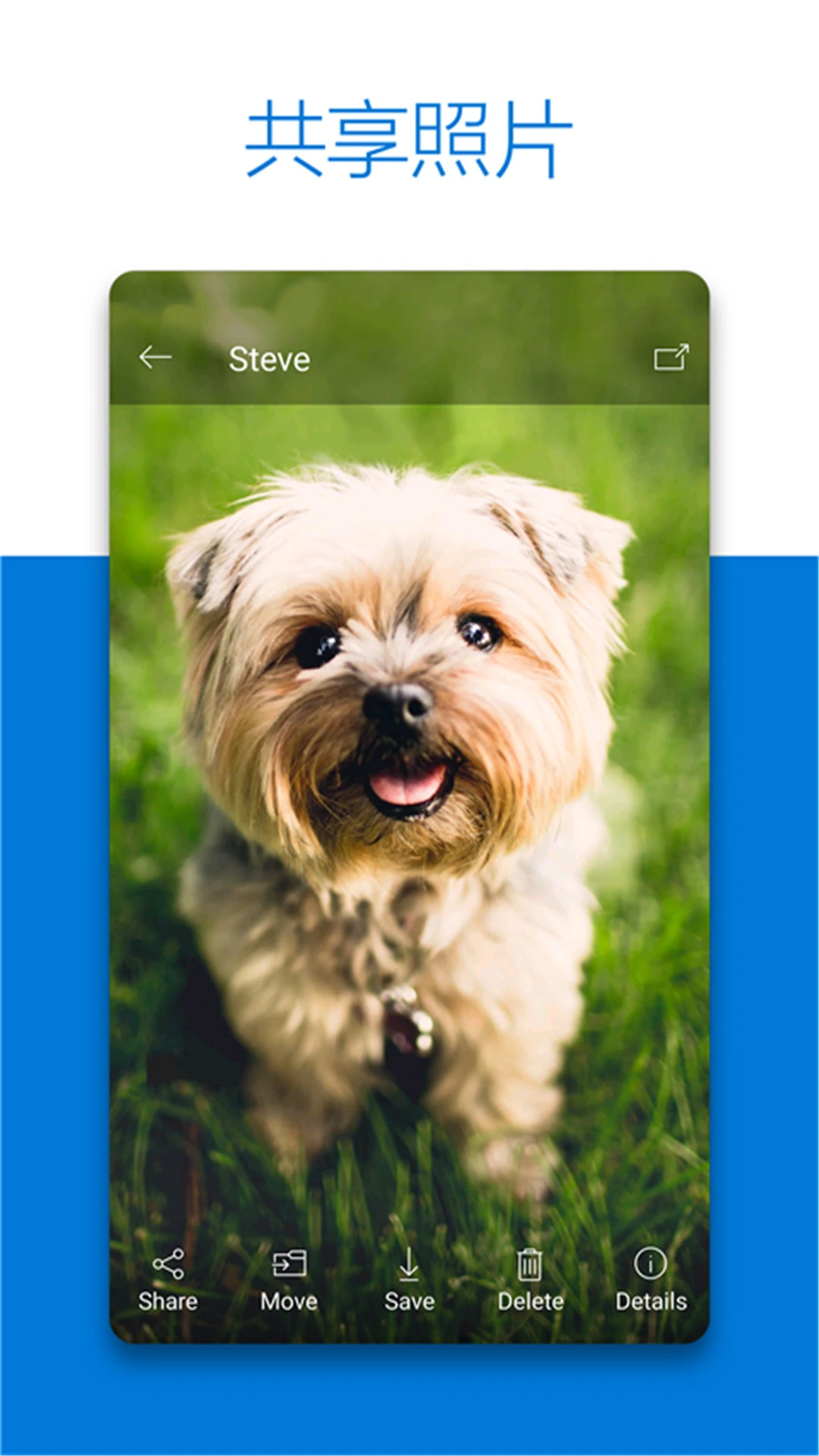 SkyDrive2026 云端存储同步工具 SkyDrive2026 云端存储同步工具