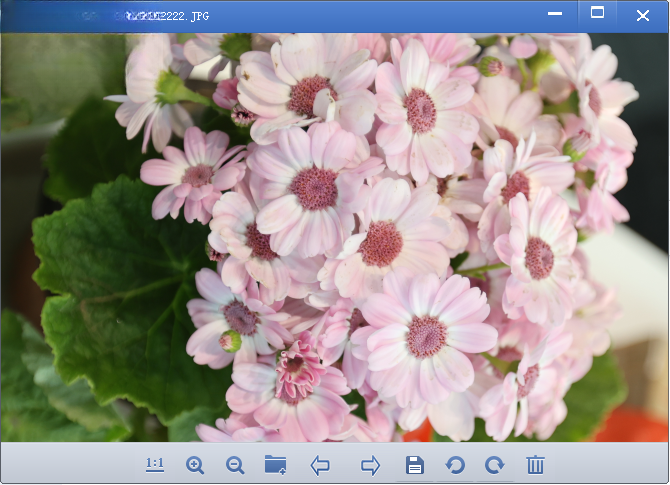 ViewͼƬ�鿴��3.8.0 ������ͼ����