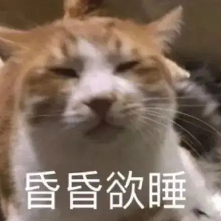 猥琐猫表情包 最新款 沙雕日常聊天必备