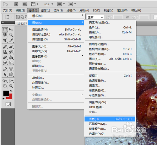 Paint Shop Pro Photo X2图像处理功能操作界面