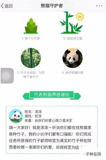 微博熊猫守护者种竹子官方app下载 勋章兑换 公益证书