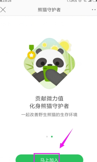 微博熊猫守护者种竹子官方app下载 界面截图 熊猫勋章