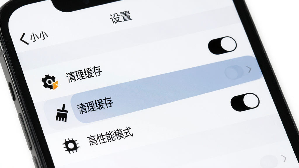 主体:手机屏幕展示“小小”应用设置界面,有“清理缓存”、“高性能模式”选项;布局:屏幕内显示设置列表,每行有图标和文字;排版:列表清晰,开关按钮在右侧;风格:简洁商务,白底黑字;细节:屏幕顶部有“设置”字样,某个选项被高亮;画质:清晰,干净,无多余元素。