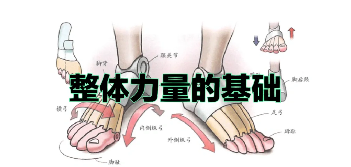 杭足训练 安卓版 功能截图