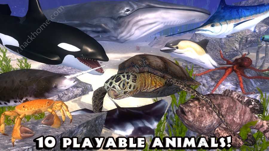 终极海洋模拟器汉化中文版(Ultimate Ocean Simulator) 终极海洋模拟器汉化中文版(Ultimate Ocean Simulator)