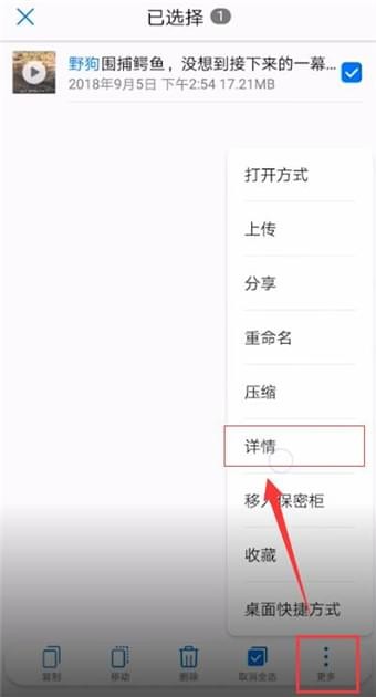 好看站手机版版app最新软件下载常见问题解决方法