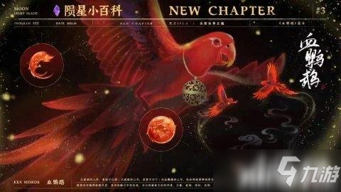 天涯明月刀手游血鹦鹉官方下载安装步骤教程